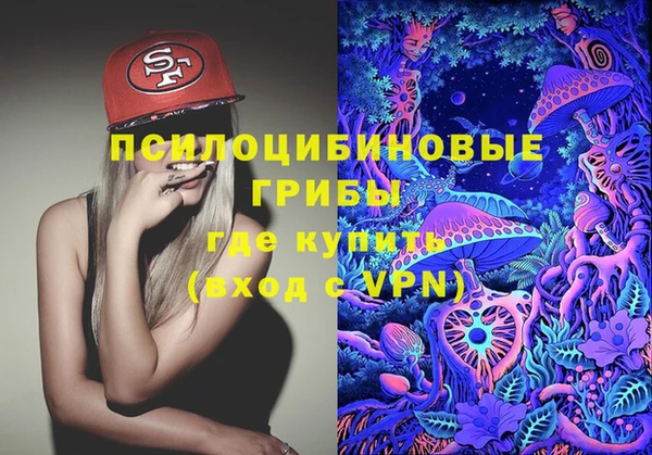 экстази Новодвинск