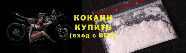 спиды Богородск