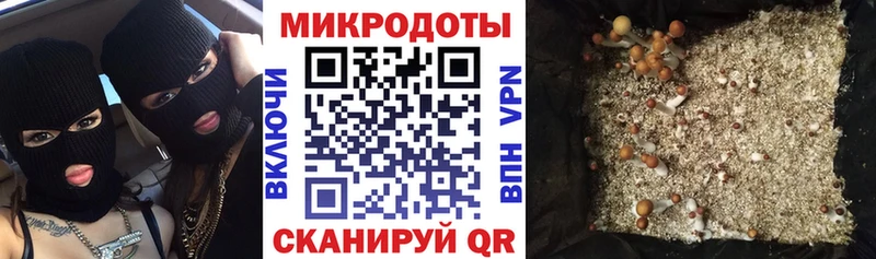 Галлюциногенные грибы мицелий  магазин    darknet телеграм  Пестово 